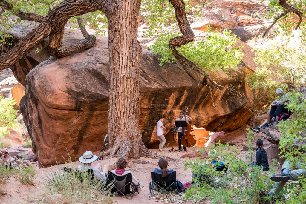 Music Hike II: Musical Stars Today & Tomorrow