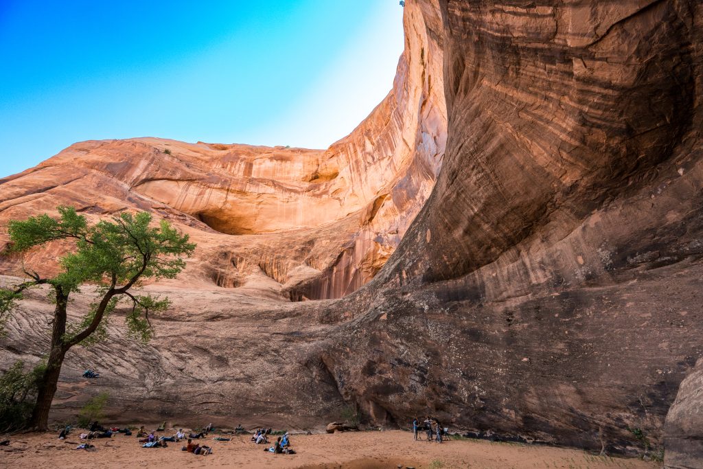 Music Hike I: The Cello Quintets